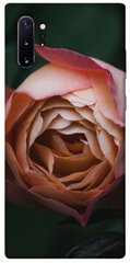 Чехол для Samsung Galaxy Note 10 Plus PandaPrint Роза остин цветы
