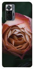 Чехол для Xiaomi Redmi Note 10 Pro Роза остин цветы