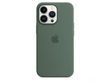 Чехол для Apple Iphone 13 pro Silicone case Original 1:1 full with Magsafe Зеленый/Eucalyptus