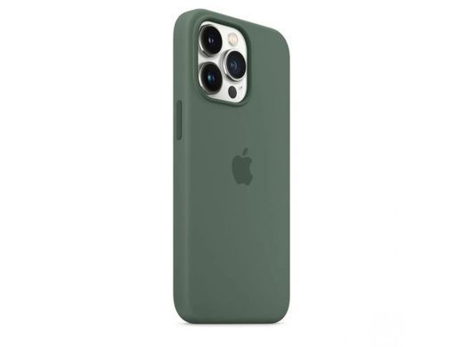 Чехол для Apple Iphone 13 pro Silicone case Original 1:1 full with Magsafe Зеленый/Eucalyptus