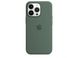Чехол для Apple Iphone 13 pro Silicone case Original 1:1 full with Magsafe Зеленый/Eucalyptus
