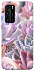 Чехол для Huawei P40 PandaPrint Эхеверия 2 цветы