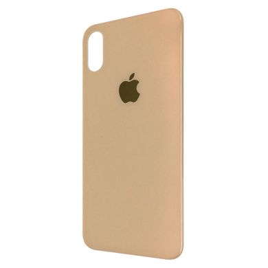 Захисне скло на задню панель Back Glass iPhone X / Xs Gold