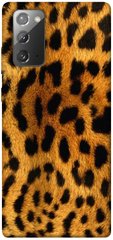 Чехол для Samsung Galaxy Note 20 PandaPrint Леопардовый принт животные