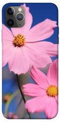 Чехол для Apple iPhone 12 Pro (6.1"") PandaPrint Розовая ромашка цветы