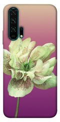 Чехол для Huawei Honor 20 Pro PandaPrint Розовый пурпур цветы