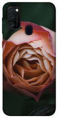 Чехол для Samsung Galaxy M30s / M21 PandaPrint Роза остин цветы