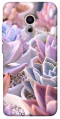 Чехол для Meizu Pro 6 PandaPrint Эхеверия 2 цветы