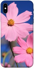 Чехол для Apple iPhone XS (5.8"") PandaPrint Розовая ромашка цветы