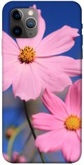 Чехол для Apple iPhone 11 Pro (5.8"") PandaPrint Розовая ромашка цветы
