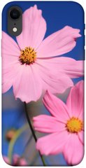 Чохол для Apple iPhone XR (6.1 "") PandaPrint Рожева ромашка квіти