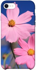 Чохол для Apple iPhone SE (2020) PandaPrint Рожева ромашка квіти