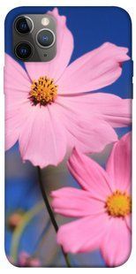 Чехол для Apple iPhone 12 Pro Max (6.7"") PandaPrint Розовая ромашка цветы
