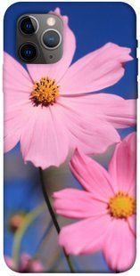 Чохол для Apple iPhone 11 Pro (5.8 "") PandaPrint Рожева ромашка квіти