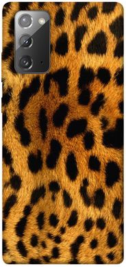 Чехол для Samsung Galaxy Note 20 PandaPrint Леопардовый принт животные
