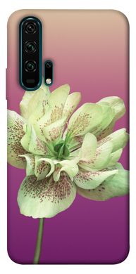 Чехол для Huawei Honor 20 Pro PandaPrint Розовый пурпур цветы