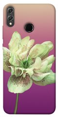 Чохол для Huawei Honor 8X PandaPrint Рожевий пурпур квіти