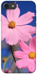 Чохол для Apple iPhone 7/8 (4.7 "") PandaPrint Рожева ромашка квіти