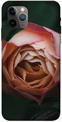 Чехол для Apple iPhone 11 Pro (5.8"") PandaPrint Роза остин цветы