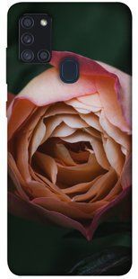 Чехол для Samsung Galaxy A21s PandaPrint Роза остин цветы
