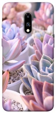 Чехол для OnePlus 7 Pro PandaPrint Эхеверия 2 цветы