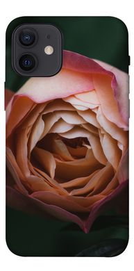 Чехол для Apple iPhone 12 mini (5.4"") PandaPrint Роза остин цветы