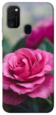 Чехол для Samsung Galaxy M30s / M21 PandaPrint Роза в саду цветы