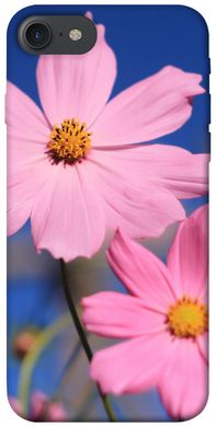 Чехол для Apple iPhone 7 / 8 (4.7"") PandaPrint Розовая ромашка цветы