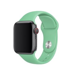 Силиконовый ремешок для Apple watch 38mm / 40mm (Зеленый / Spearmint)