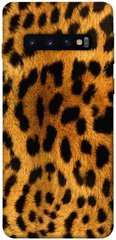 Чехол для Samsung Galaxy S10 PandaPrint Леопардовый принт животные