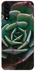 Чехол для Samsung Galaxy A50 (A505F) / A50s / A30s PandaPrint Эхеверия цветы