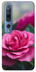 Чохол для Xiaomi Mi 10 / Mi 10 Pro PandaPrint Роза в саду квіти