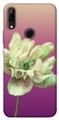 Чохол для Huawei P Smart Z PandaPrint Рожевий пурпур квіти