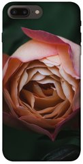 Чехол для Apple iPhone 7 plus / 8 plus (5.5"") PandaPrint Роза остин цветы