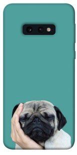 Чохол для Samsung Galaxy S10e PandaPrint Сплячий мопс тварини