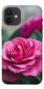 Чохол для Apple iPhone 12 mini (5.4 "") PandaPrint Роза в саду квіти
