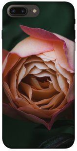 Чохол для Apple iPhone 7 plus / 8 plus (5.5 "") PandaPrint Роза Остін квіти