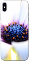 Чехол для Apple iPhone XS Max (6.5"") PandaPrint Полевой цветок цветы