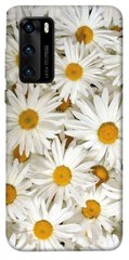 Чохол для Huawei P40 PandaPrint Ромашки квіти