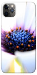 Чехол для Apple iPhone 12 Pro (6.1"") PandaPrint Полевой цветок цветы