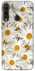 Чохол для Huawei Y6p PandaPrint Ромашки квіти
