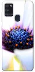 Чехол для Samsung Galaxy A21s PandaPrint Полевой цветок цветы
