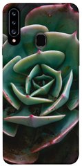 Чехол для Samsung Galaxy A20s PandaPrint Эхеверия цветы