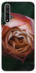 Чехол для Huawei Honor 20 / Nova 5T PandaPrint Роза остин цветы