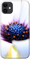 Чехол для Apple iPhone 11 (6.1"") PandaPrint Полевой цветок цветы
