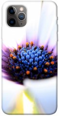 Чехол для Apple iPhone 11 Pro (5.8"") PandaPrint Полевой цветок цветы