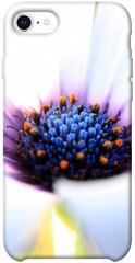 Чехол для Apple iPhone SE (2020) PandaPrint Полевой цветок цветы