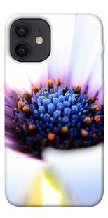 Чохол для Apple iPhone 12 mini (5.4 "") PandaPrint Польовий квітка квіти