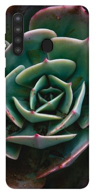 Чехол для Samsung Galaxy A21 PandaPrint Эхеверия цветы