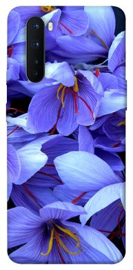 Чехол для OnePlus Nord PandaPrint Фиолетовый сад цветы